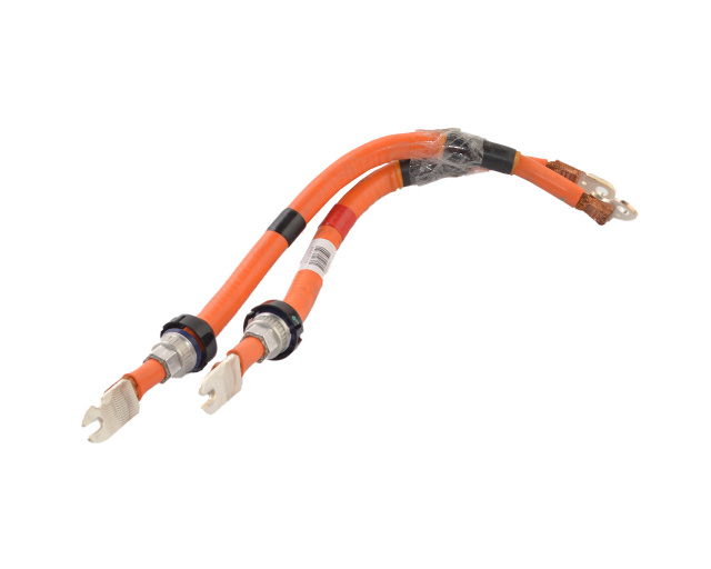 Проводка высоковольтная на вход чарджер блока (GEN3, 1 фаза 48А) Tesla Model SR,X 1045978-10-G