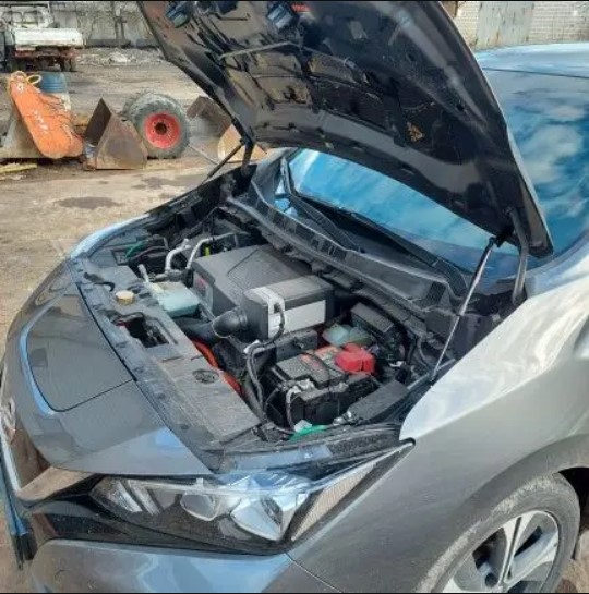 EnGine_Leaf - 4.jpg EnGine_Leaf - 4.jpg