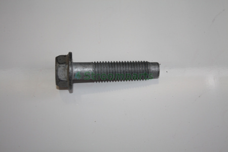 IMG_6206.JPG IMG_6206.JPG