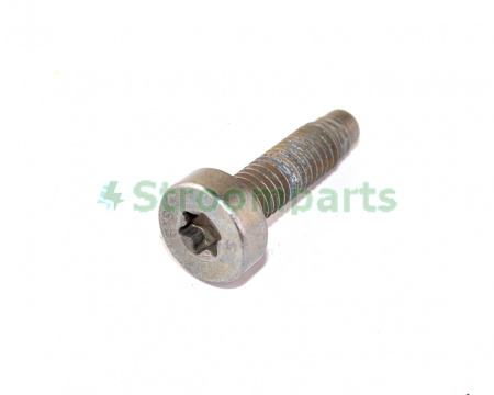 Болт карты двери M6-1.0x23 TESLA MODEL 3