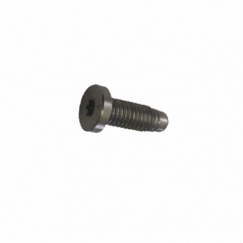 Болт крепления кронштейна бампера M6-1.0x17 TESLA MODEL 3 1128951-00-B