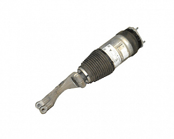 Пневмо амортизатор передний  в сборе TESLA MODEL X 1027361-00-G